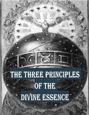 The Three Principles of the Divine Essence