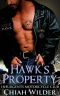 Hawk's Property · Insurgents Motorcycle Club (Insurgents MC Romance Book 1)