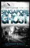 Singapore Ghost: A mystery-crime story with an historical twist (An Ash Carter Investigation Book 4)