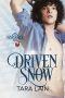Getriebener Schnee (Driven Snow)