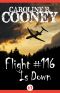 Flight #116 is Down