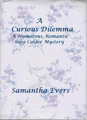 A Curious Dilemma (A Humorous, Romantic Sara Calder Mystery, #2)