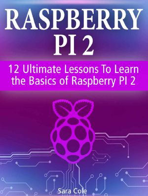 Raspberry PI 2 · 12 Ultimate Lessons to Learn the Basics of Raspberry PI 2 (Raspberry Pi 2, Minecraft Raspberry Pi, Raspberry Pi User Guide)