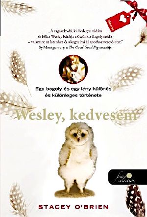 Wesley, kedvesem