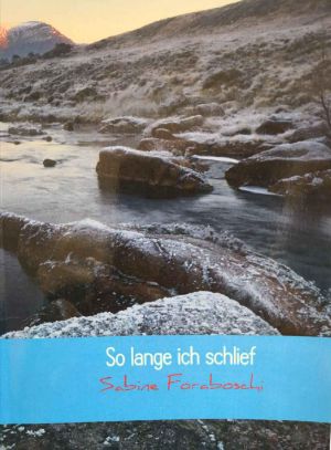 So lange ich schlief · Einmal Wachkoma und zurück