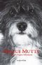 Rescue Mutts · Bohdi's Aspen Adventure