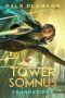 Foundations: A LitRPG Adventure (Tower of Somnus Book 1)