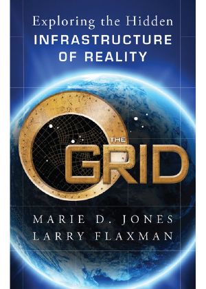 The Grid · Exploring the Hidden Infrastructure of Reality