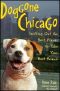 Doggone Chicago · Sniffing Out the Best Places to Take Your Best Friend