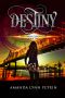 Destiny (The Owens Chronicles Book 2)