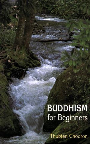 Buddhism For Beginners