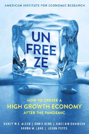 Unfreeze · How to Create a High Growth Economy After the Pandemic