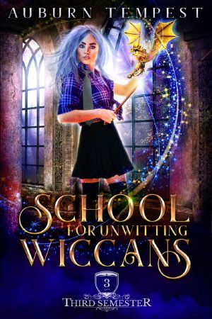 School For Unwitting Wiccans