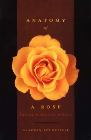 Anatomy of a Rose - Exploring the Secret Life of Flowers