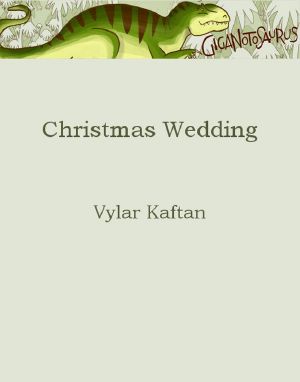 Christmas Wedding