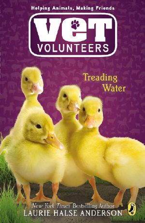 Vet Volunteers 16: Treading Water