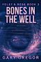 Bones In The Well (Foley & Rose Book 3)