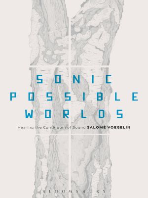 Sonic Possible Worlds