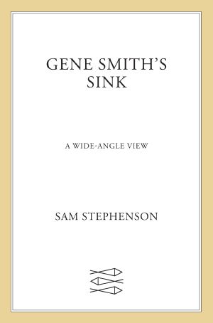 Gene Smith's Sink