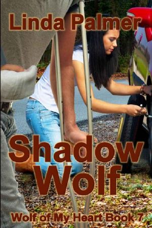 Shadow Wolf (Wolf of My Heart Book 7)