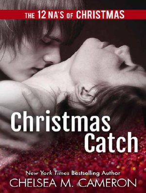 Christmas Catch · A Holiday Novella