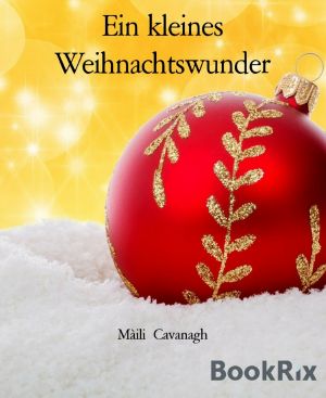 Ein kleines Weihnachtswunder