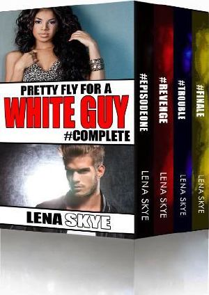 Pretty Fly for a White Guy · Box Set 1-4