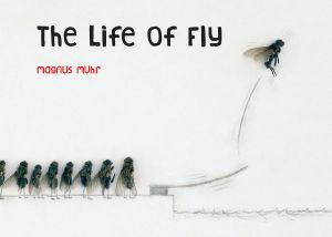 The Life of Fly