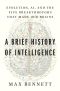 A Brief History of Intelligence