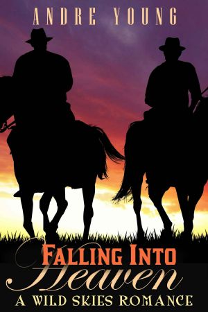 Falling Into Heaven · A Wild Skies Gay Romance