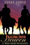 Falling Into Heaven · A Wild Skies Gay Romance