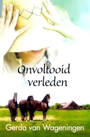 Onvoltooid Verleden