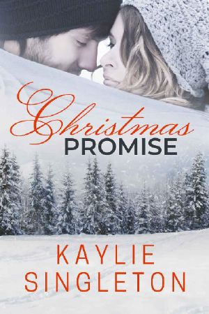 Christmas Promise · A Contemporary Romance Novella