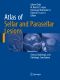 Atlas of Sellar and Parasellar Lesions