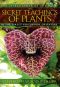 The Secret Teachings of Plants · the Intelligence of the Heart in the Direct Perception of Nature