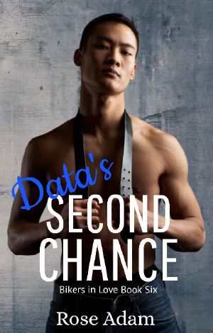 Data's Second Chance (Bikers in Love Book 6)