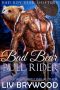 Bad Bear Bull Rider