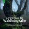 Geheimnisse der Waldfotografie