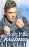 Holly Hills Christmas: A steamy, small-town, age-gap M/M romance