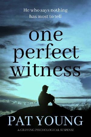 One Perfect Witness · A Gripping Psychological Suspense
