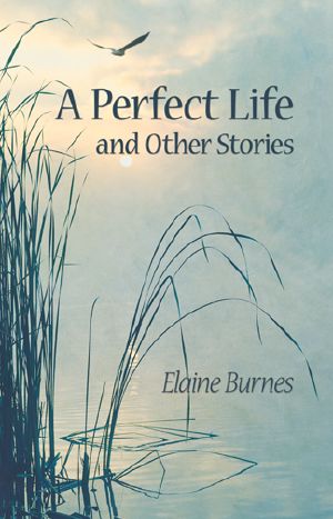 A Perfect Life nd Other Stories