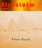 Firestorm: A Novel