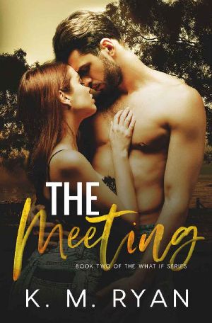 The Meeting (What If Book 2)