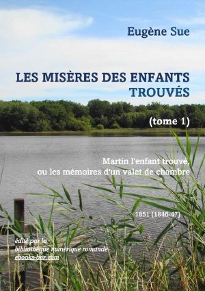 Les Misères des Enfants trouvés (tome 1)