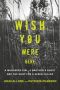 Wish You Were Here, A Murdered Girl, a Brother's Quest and the Hunt for a Serial Killer