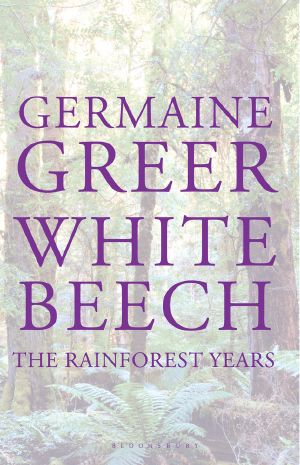 White Beech · the Rainforest Years
