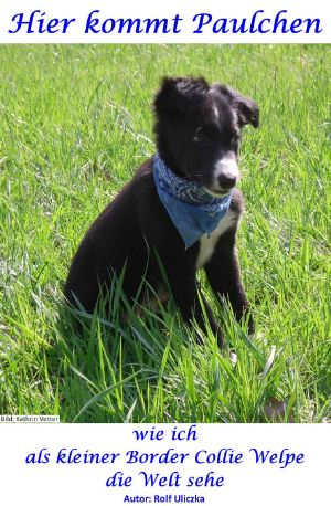 Hier kommt Paulchen · wie ich als kleiner Border Collie Welpe die Welt sehe