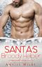 Santa's Broody Helper