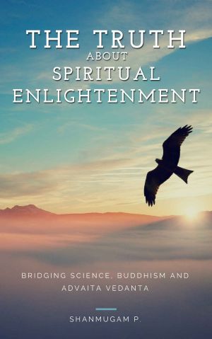 The Truth About Spiritual Enlightenment · Bridging Science, Buddhism and Advaita Vedanta