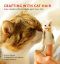 Crafting with Cat Hair · Cute Handicrafts to Make with Your Cat